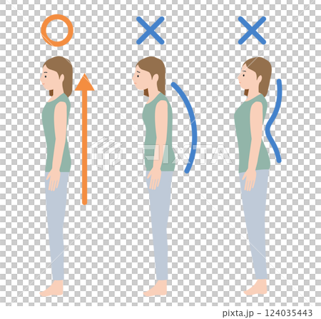 理想的な良い姿勢で立つ女性と、猫背の女性、反り腰の女性の比較のイラスト 124035443
