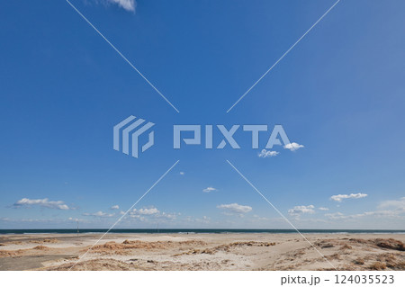 山武郡九十九里町　作田海岸付近 124035523