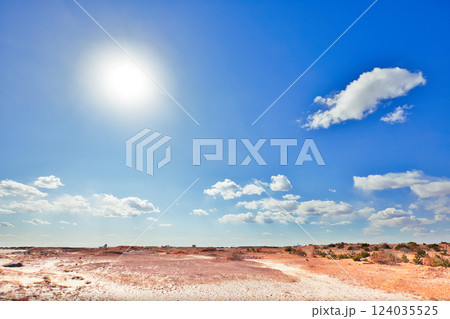 山武郡九十九里町　作田海岸付近 124035525