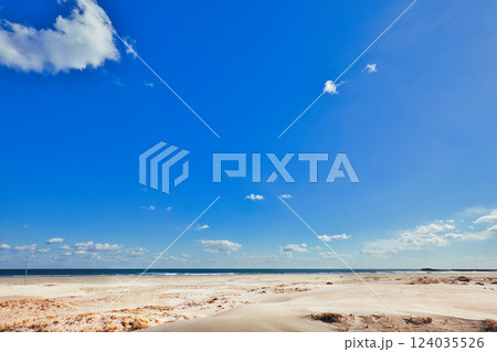 山武郡九十九里町　作田海岸付近 124035526