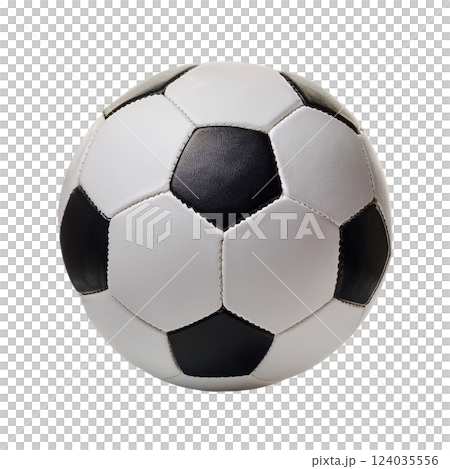 Classic Black and White Soccer Ball 124035556