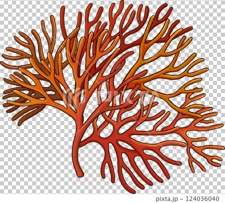 Sea Moss Plant Colored Detailed  Illustration. 124036040