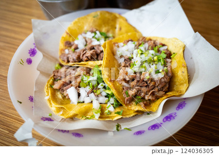 メキシコのタコス 124036305