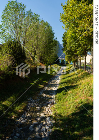Shallow Stream Flowing through Tree-Lined Path 124036971