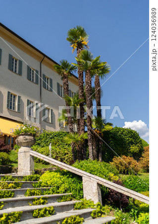 Tall Palm Trees by Elegant Villa on Sunny Day Tall Palm Trees by Elegant Villa on Sunny Day 124036989