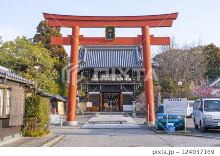 京都 梅宮大社 満開の梅と楼門(随身門) 京都 梅宮大社 満開の梅と楼門(随身門) 124037169