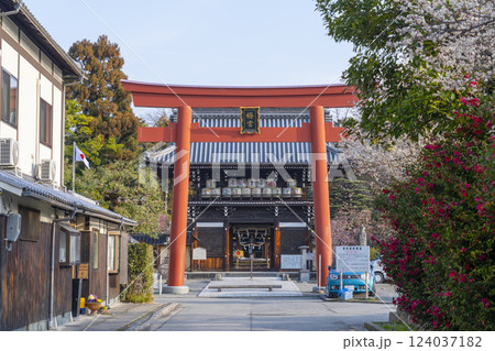 京都 梅宮大社 満開の梅と楼門(随身門) 京都 梅宮大社 満開の梅と楼門(随身門) 124037182