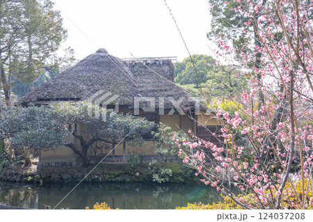 京都 梅宮大社 神苑にある茶室「池中亭」 京都 梅宮大社 神苑にある茶室「池中亭」 124037208