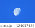 月の入り 124037429