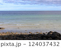 エメラルドグリーンの海と白い砂浜 124037432