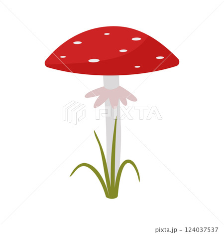 Fly agaric, a poisonous mushroom, red in color with a white dot. Vector illustration isolated. 124037537