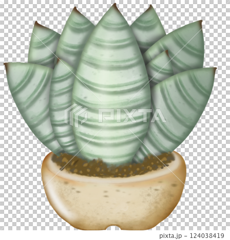 Cactus plants cute with hand drawn cartoon style, illustration set. 124038419