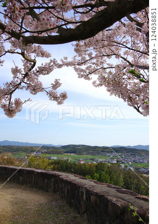兵庫県洲本市 サンセットパーク五色・夕日が丘公園から鳥飼浦の風景を望む 兵庫県洲本市 サンセットパーク五色・夕日が丘公園から鳥飼浦の風景を望む 124038851