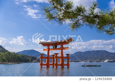 【広島宮島　大鳥居と松】 124038866