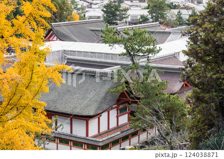 【広島宮島　豊国神社から望む厳島神社】 124038871