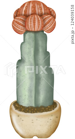 Cactus plants cute with hand drawn cartoon style, illustration set. 124039158