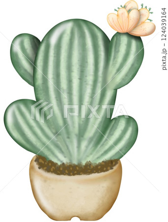 Cactus plants cute with hand drawn cartoon style, illustration set. 124039164
