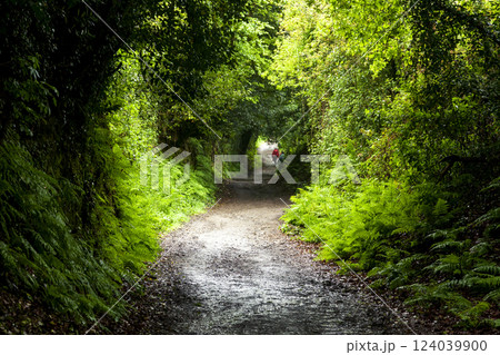 Two backpackers on a dirt road 124039900
