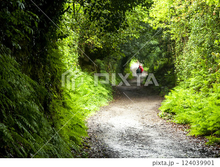 Two backpackers on a dirt road 124039901