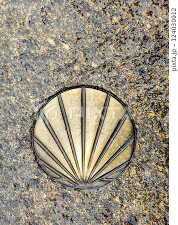 Santiago's shell on the pavement Santiago's shell on the pavement 124039912