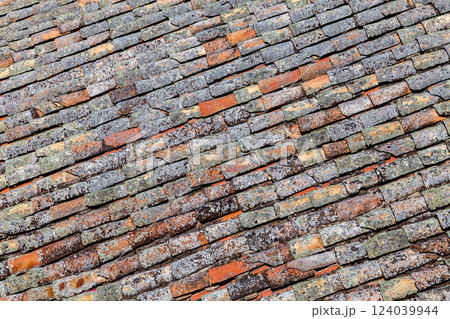 Old red tiling covered with lichen Old red tiling covered with lichen 124039944