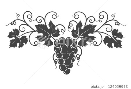 Grapes vine decorative pattern 124039958