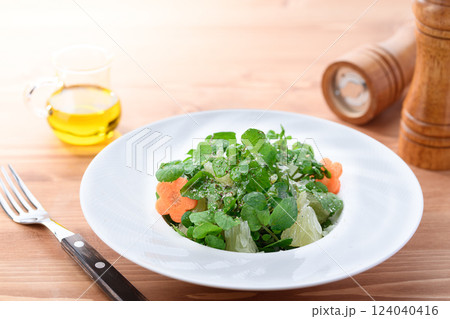 クレソンと文旦（みかん）のおしゃれなサラダ 124040416