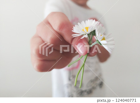 A child offering freshly picked daisies, capturing a moment of innocence and joy in a simple indoor setting 124040771