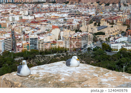 Seagulls resting on cliff overlooking cityscape of urban residential buildings 124040976
