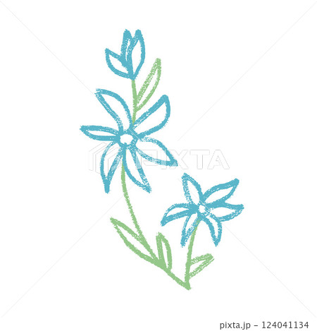 Wildflower brunch crayon drawn. Spring field plant doodle. Summer floral kids element. Chalk or pastel style childish scrawl nature shape. Vector illustration by pencil isolated on white background. Wildflower brunch crayon drawn. Spring field plant doodle. Summer floral kids element. Chalk or pastel style childish scrawl nature shape. Vector illustration by pencil isolated on white background. 124041134