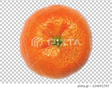 A vibrant, single mandarin orange sits centrally against a stark white background.  Its textured peel and juicy appearance suggest freshness and health. 124041767
