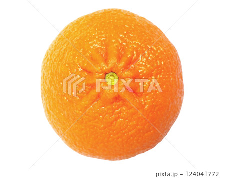 A vibrant, single orange, captured from a directly overhead perspective against a clean white background. 124041772