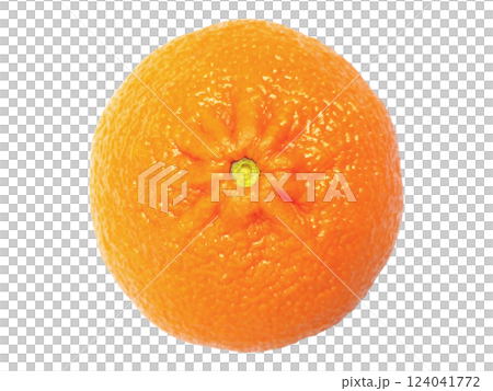 A vibrant, single orange, captured from a directly overhead perspective against a clean white background. 124041772