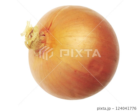 A single, whole yellow onion sits on a pristine white background. 124041776