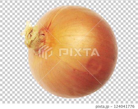 A single, whole yellow onion sits on a pristine white background. 124041776