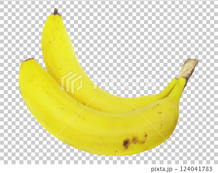 Two ripe yellow bananas nestled together against a stark white background. Two ripe yellow bananas nestled together against a stark white background. 124041783