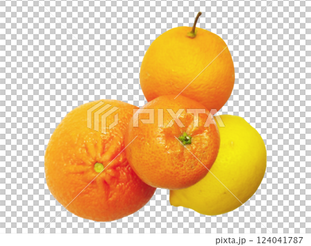 Vibrant citrus fruits oranges and lemon arranged on a white background. A refreshing image perfect for food blogs, health websites, or juice advertisements. 124041787