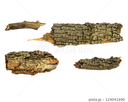 Highres image of textured tree bark pieces, isolated on white.  Perfect for crafting, nature themes, rustic designs, or adding organic elements to your projects. 124041890