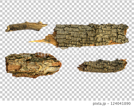 Highres image of textured tree bark pieces, isolated on white.  Perfect for crafting, nature themes, rustic designs, or adding organic elements to your projects. 124041890