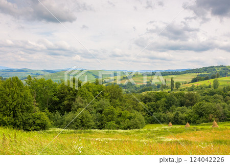 rural landscape with field and mountain in summer. provincial farmland. green nature outdoor with grass and hill. countryside scenery for travel with cloud on sky. tourism background with nice view rural landscape with field and mountain in summer. provincial farmland. green nature outdoor with grass and hill. countryside scenery for travel with cloud on sky. tourism background with nice view 124042226