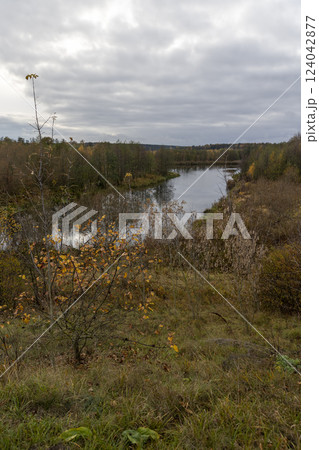 autumn landscape in cloudy weather with a lake and deciduous trees 124042877