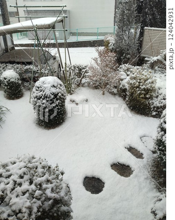 初雪が積もった庭 124042931