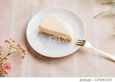 チーズケーキ チーズケーキ 124043155