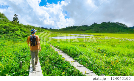 夏の火打山・妙高山登山（天狗の庭） 124043160