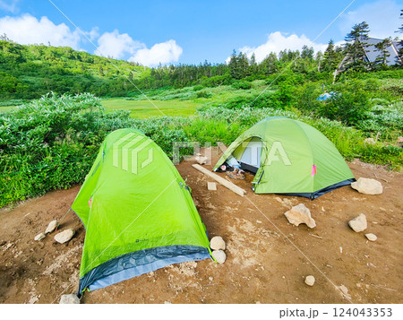 夏の火打山・妙高山登山(高谷池ヒュッテのテント場) 夏の火打山・妙高山登山(高谷池ヒュッテのテント場) 124043353