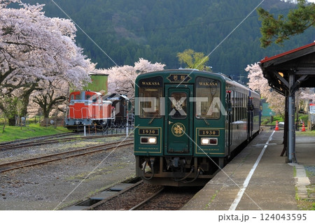 桜のある駅 124043595