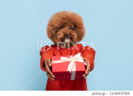 A fluffy dog dressed in a bright orange sweater proudly presents a beautifully wrapped red gift adorned with a white ribbon. The cheerful expression and vibrant colors create a festive atmosphere 124043766