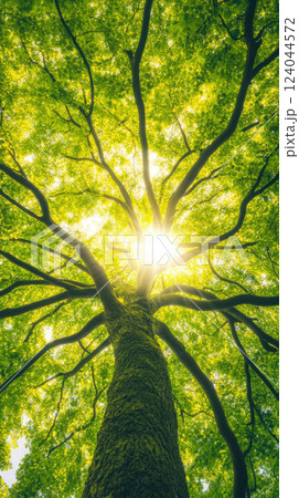 Majestic tree canopy with sunlight streaming through lush green leaves creating a serene nature scene, AI Generative Majestic tree canopy with sunlight streaming through lush green leaves creating a serene nature scene, AI Generative 124044572