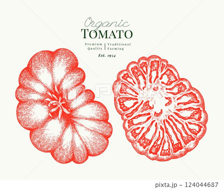 Hand Drawn Tomato Illustration. Retro Vegetable Vector Isolated Image. Old School Farm Food. 124044687