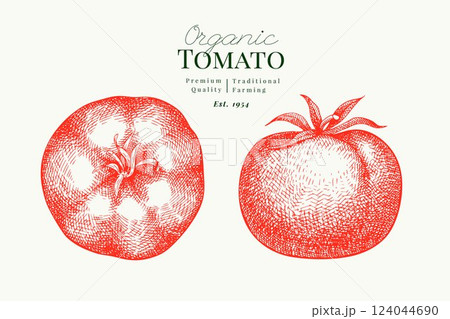 Hand Drawn Tomato Illustration. Retro Vegetable Vector Isolated Image. Old School Farm Food. Hand Drawn Tomato Illustration. Retro Vegetable Vector Isolated Image. Old School Farm Food. 124044690